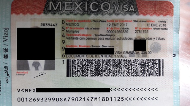 WSA Passport Acceptance - Visas on WSA Passports