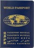 World passport cover